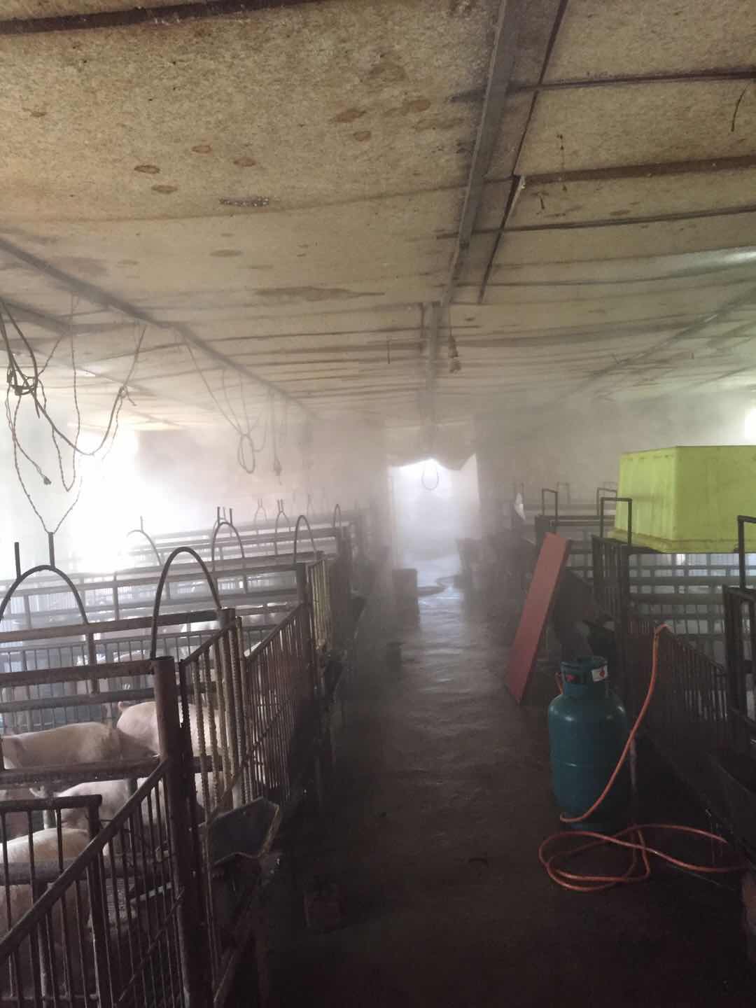 養(yǎng)殖場噴霧降溫 養(yǎng)殖場噴霧降溫