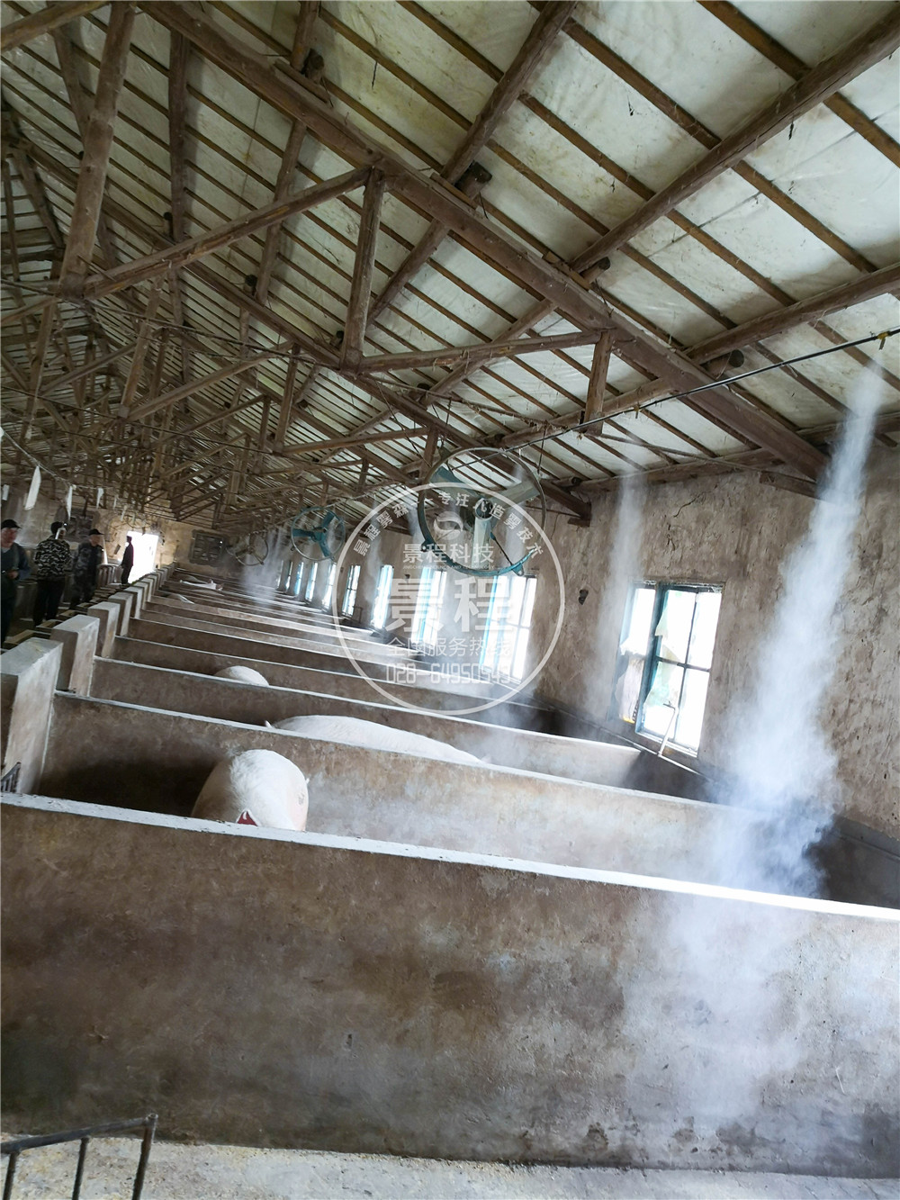 豬場噴霧消毒 四川養殖場噴霧消毒,人造霧消毒