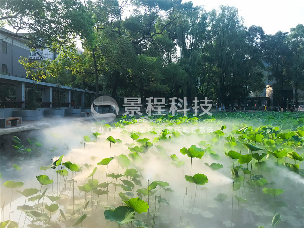 噴霧造景 (7).jpg 噴霧造景 (7).jpg