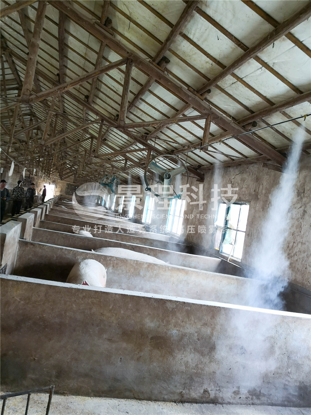 豬場消毒 豬場噴霧消毒,成都消毒設備