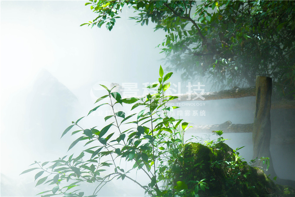 園林景區(qū)噴霧 噴霧造景,高壓噴霧